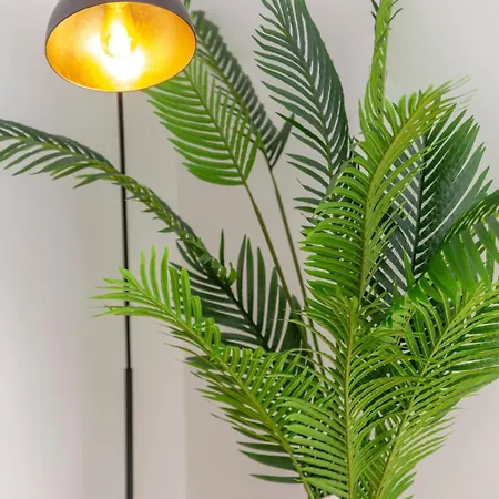 Velluto Appartamento Albufeira