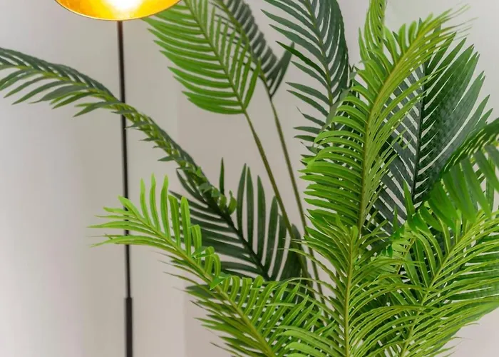 Velluto Апартаменти Албуфейра